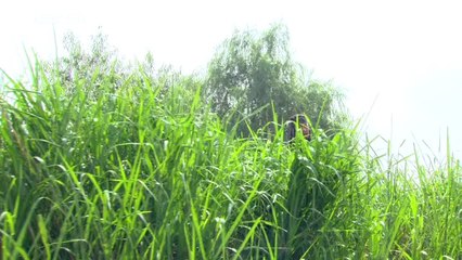 empress.chun.chu.e69.yeppudaa-001