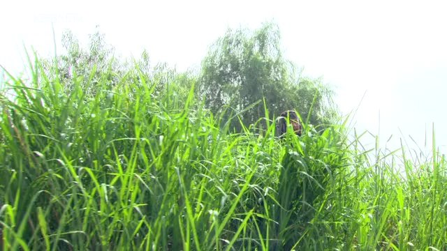 empress.chun.chu.e69.yeppudaa-001