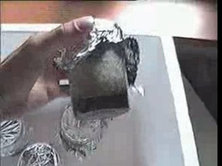 Cultivation Mushroom