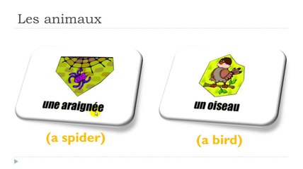 Learn French # Lesson 1 = Les animaux