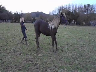 Ameerah et moi