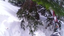 Skiing crash into a tree