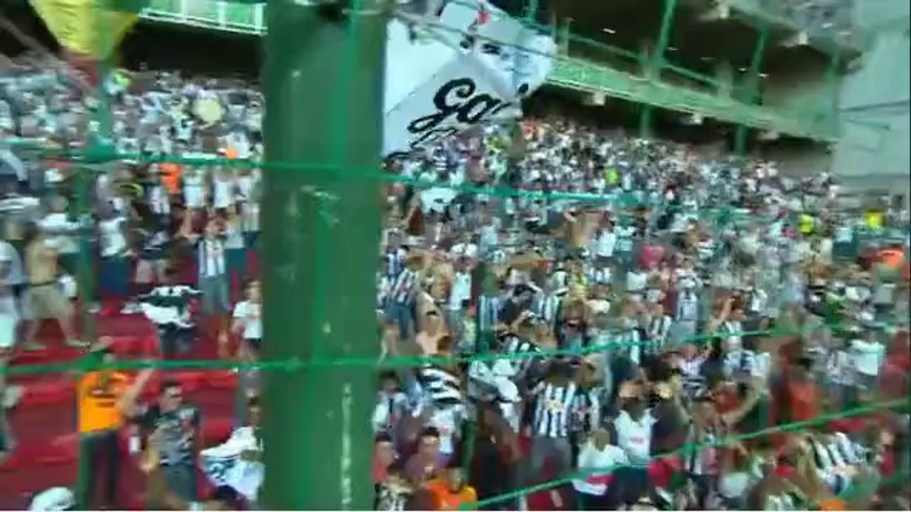 Galo 2