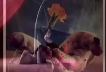 Ahu Sağlam _Haydar Haydar_