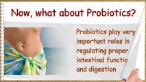Digestive Enzymes & Probiotics In Aiding A Healthy Digestion