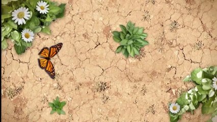 Breast Reduction Cost