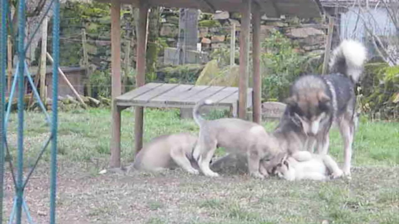 8èm sem des ty laouen