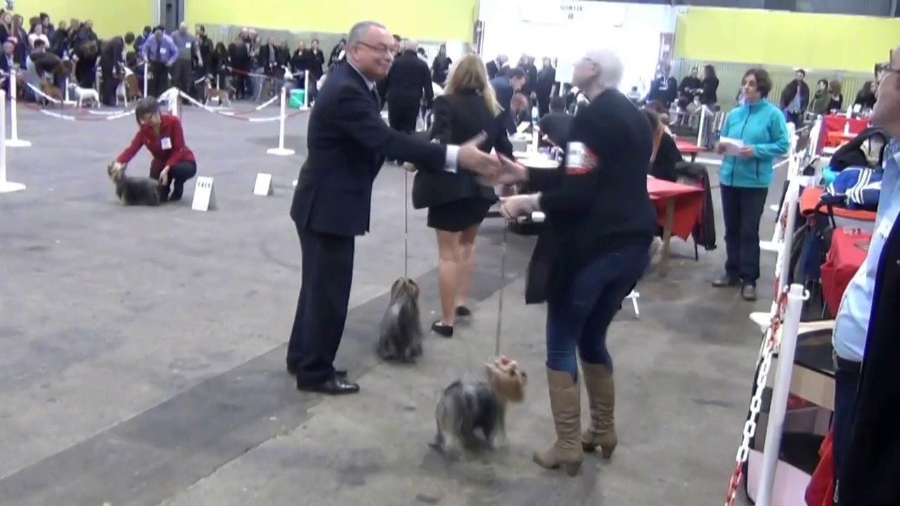 Cacib Troyes 2014