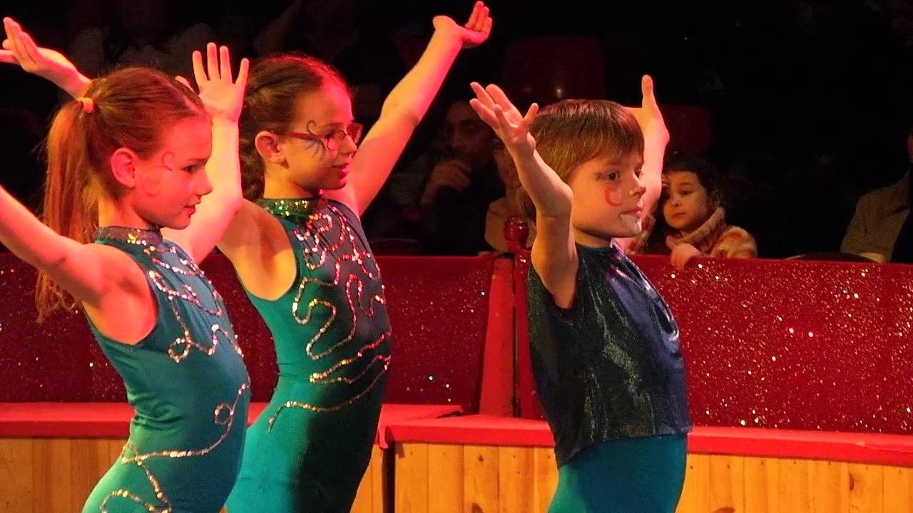 cerceau aerien ( cirque gruss ) enzo