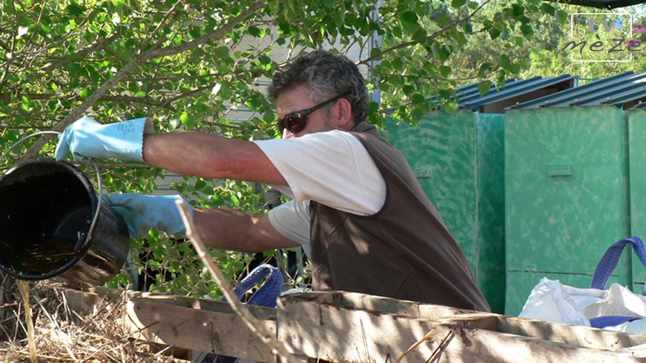 Ecolette, système de toilettes sèches au festival de Thau