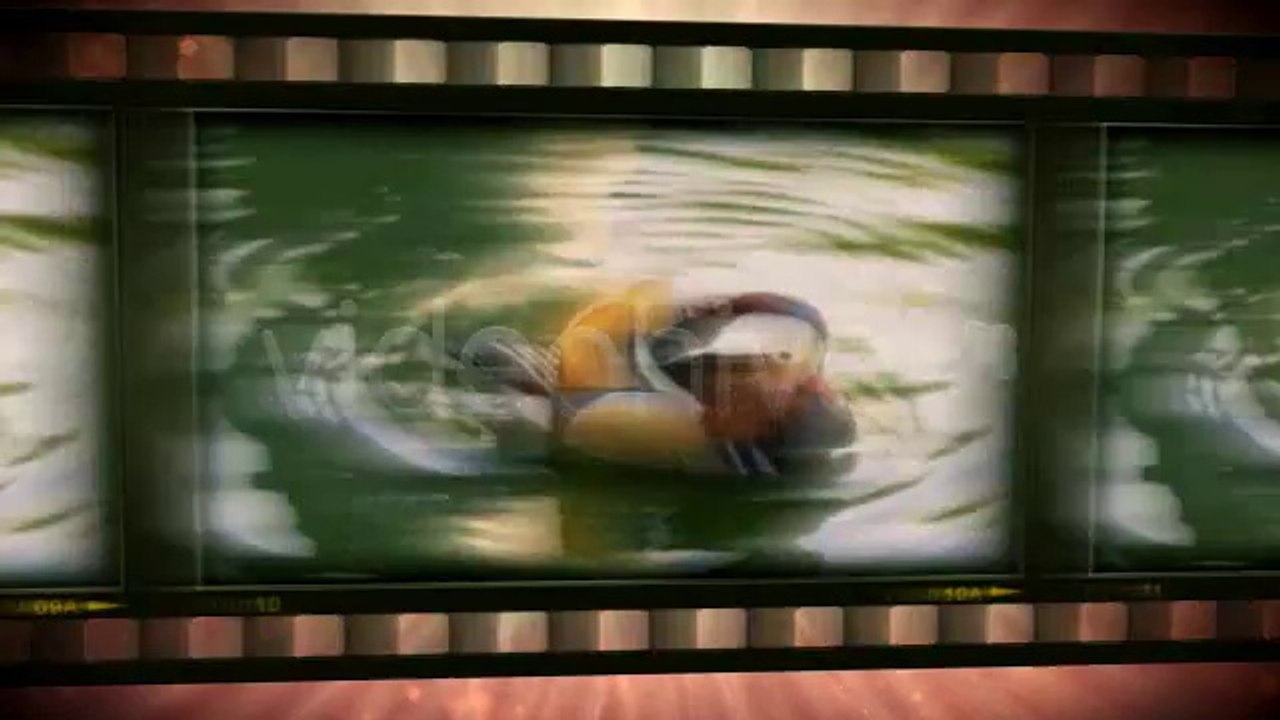Film Shutter - After Effects Template