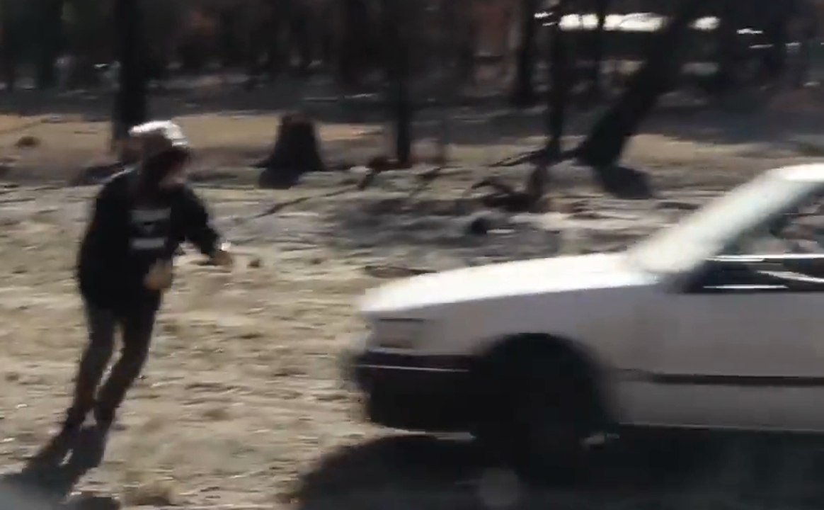 Real human crash test : no way!