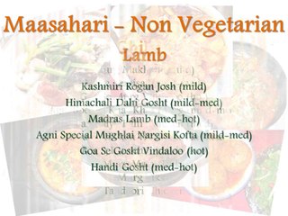 Agni Indian Resaturant - Take Away Menu