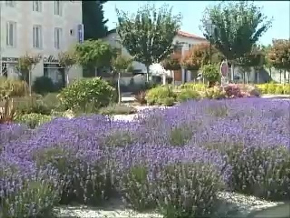 Bilan Mandat Saujon 2014 environnement cadre de vie