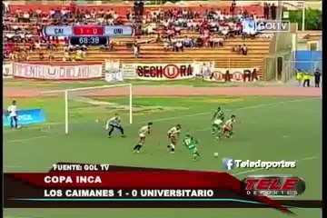 Pesadilla crema: Universitario no levanta cabeza en lo que va del 2014 (1/2)