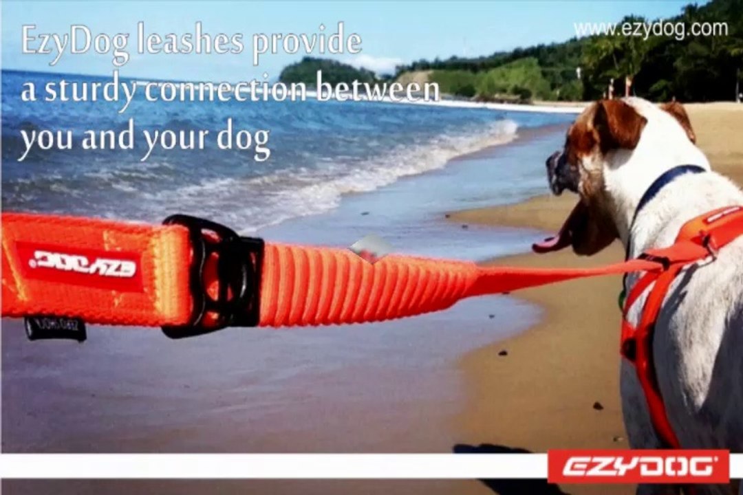 From dog collars and leashes to backpacks, outdoor adventures are fun with EzyDog.