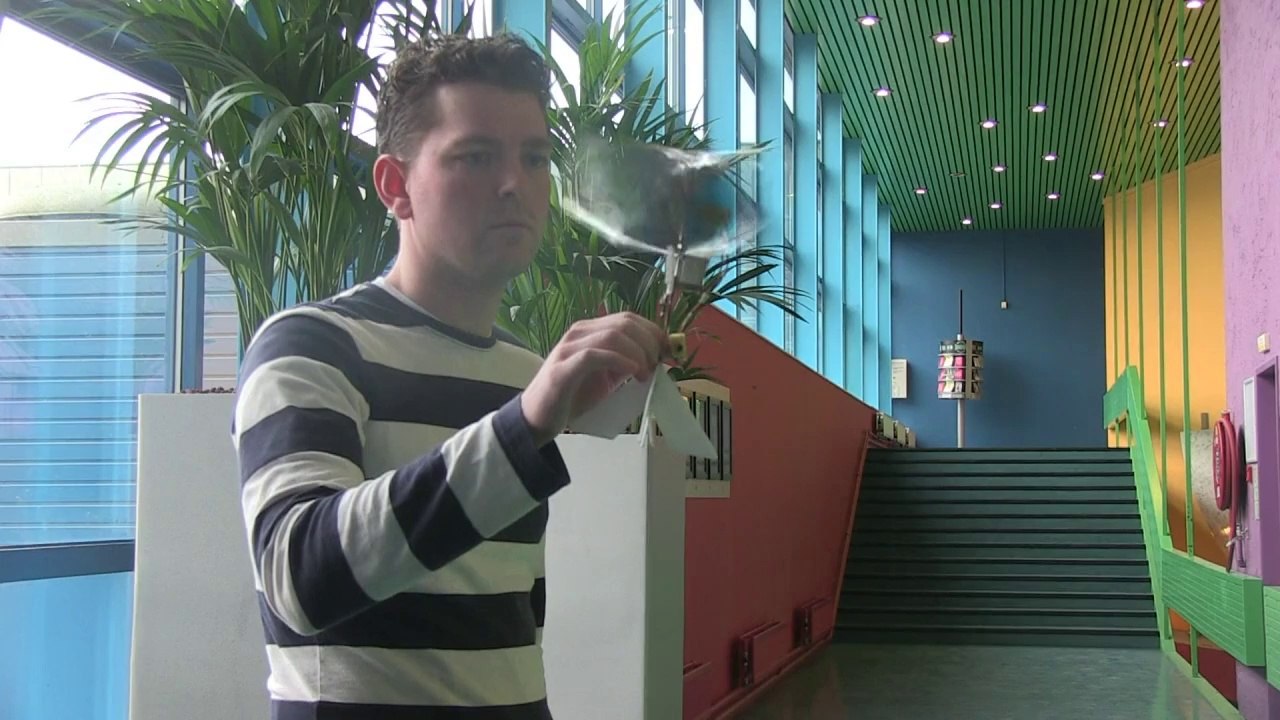 Revolutionär: Flügelschlag und 3-D-Blick der 'Libellen-Drohne'