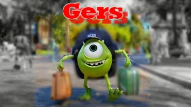 GENSERWIEL 13 Gers DJ plaat