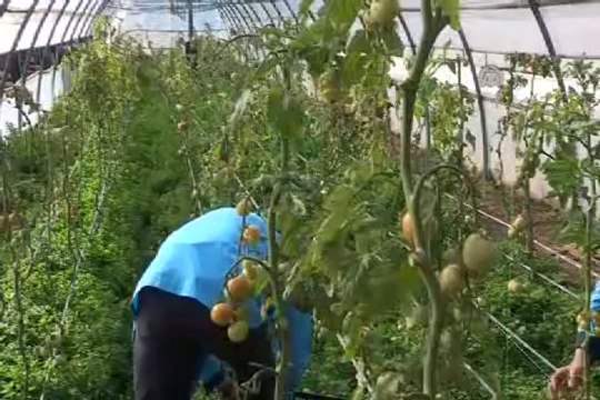 Cezaevinde marka yarattılar