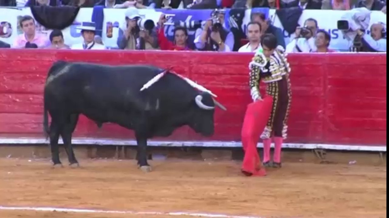 Joselito_Adame_Una_estrella_con_luz_propia