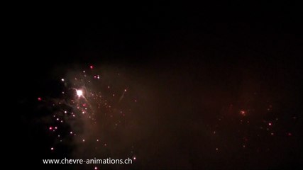Feu d'artifice pour la fête du village de Undervelier 2011