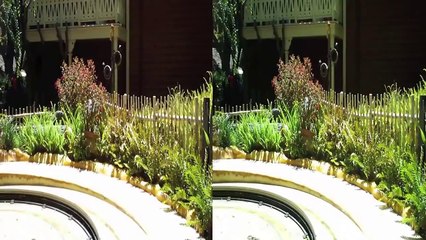 Disney 3D Winnie the Pooh Dark Ride in 3D