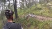 Grizzly Bluff Charges Two Mountain Bikers