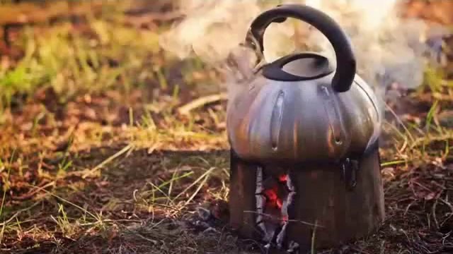 BioGrill vos grillades en toute simplicité