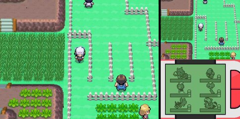 Pokémon Pt: Max% [15] Spaghetti