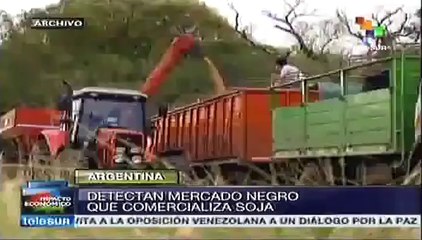 Descubren autoridades argentinas mercado negro de soja