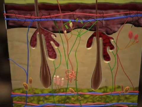 Psoriasis | | 212SKIN - AL Dermatology PC | 212-674-7777