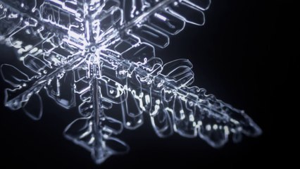 Snowtime • Microscopic Timelapse [HD]