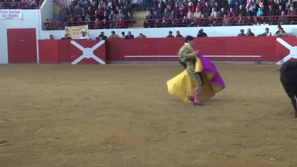 Novillada Arzacq le 24 février 2014