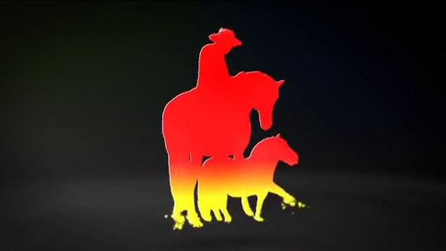 François Lespes Spectacles Equestres & Parades à thèmes