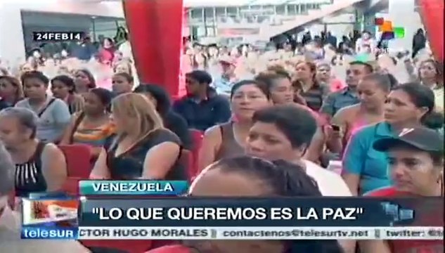 Canciller Jaua condena violencia de grupos fascistas