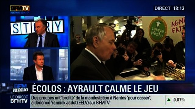 BFM Story: Participation des écologistes à la manifestation contre l'aéroport de Notre-Dame-des-Landes à Nantes - 24/02
