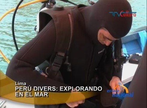 En Lima, informan que el próximo 1 de noviembre la Comisión Interamericana de Derechos Humanos otorgará una audiencia a organizaciones civiles peruanas .