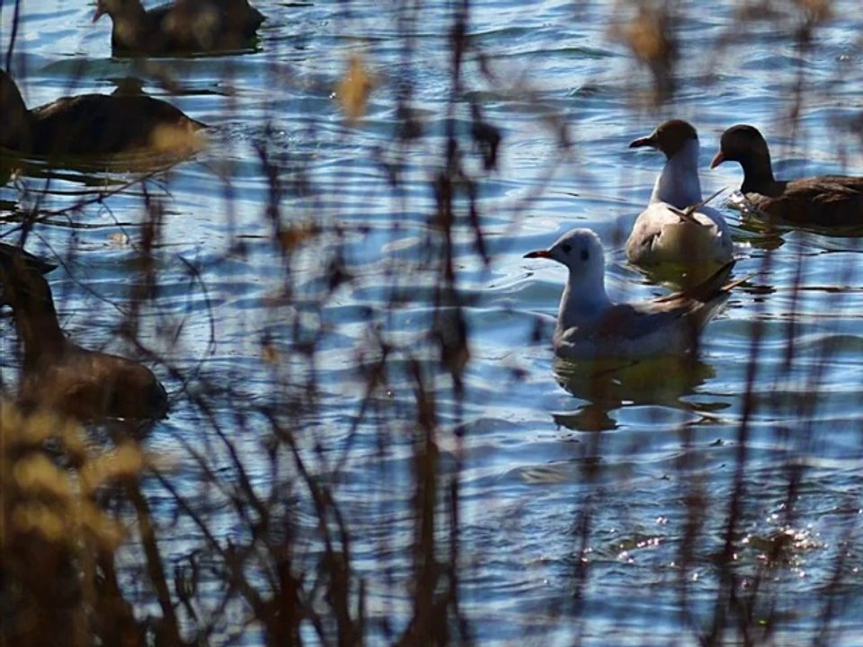Sonntag an der Isar&Donau