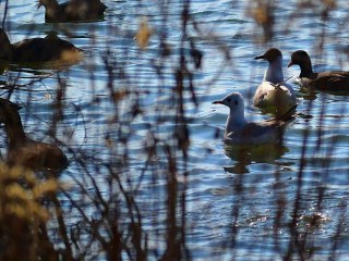 Sonntag an der Isar&Donau