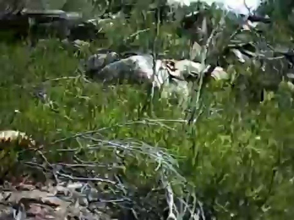 Downhill Freeride Mountain Biking Helmet cam