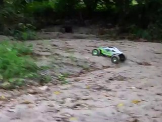 Axial Turkey Hunters! SCX10 and AX10 Chasing turkeys