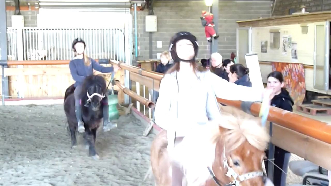 Tous a poneys