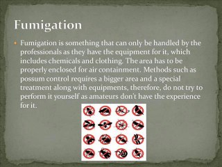 Effective ways of Controlling Pests
