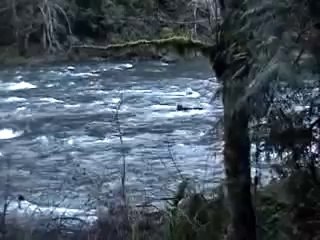 Enjoying Nature outside of Portland, Oregon, USA (2007)