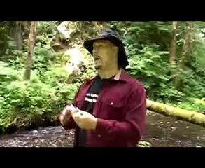 An Introduction to Edible Plants (2007)