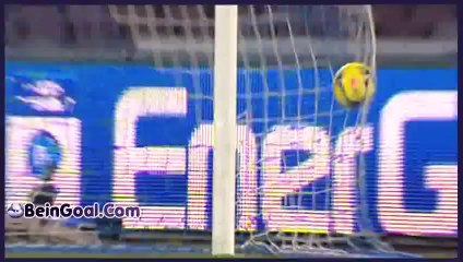 All Goals - Napoli 1-1 Genoa - 24-02-2014 Highlights