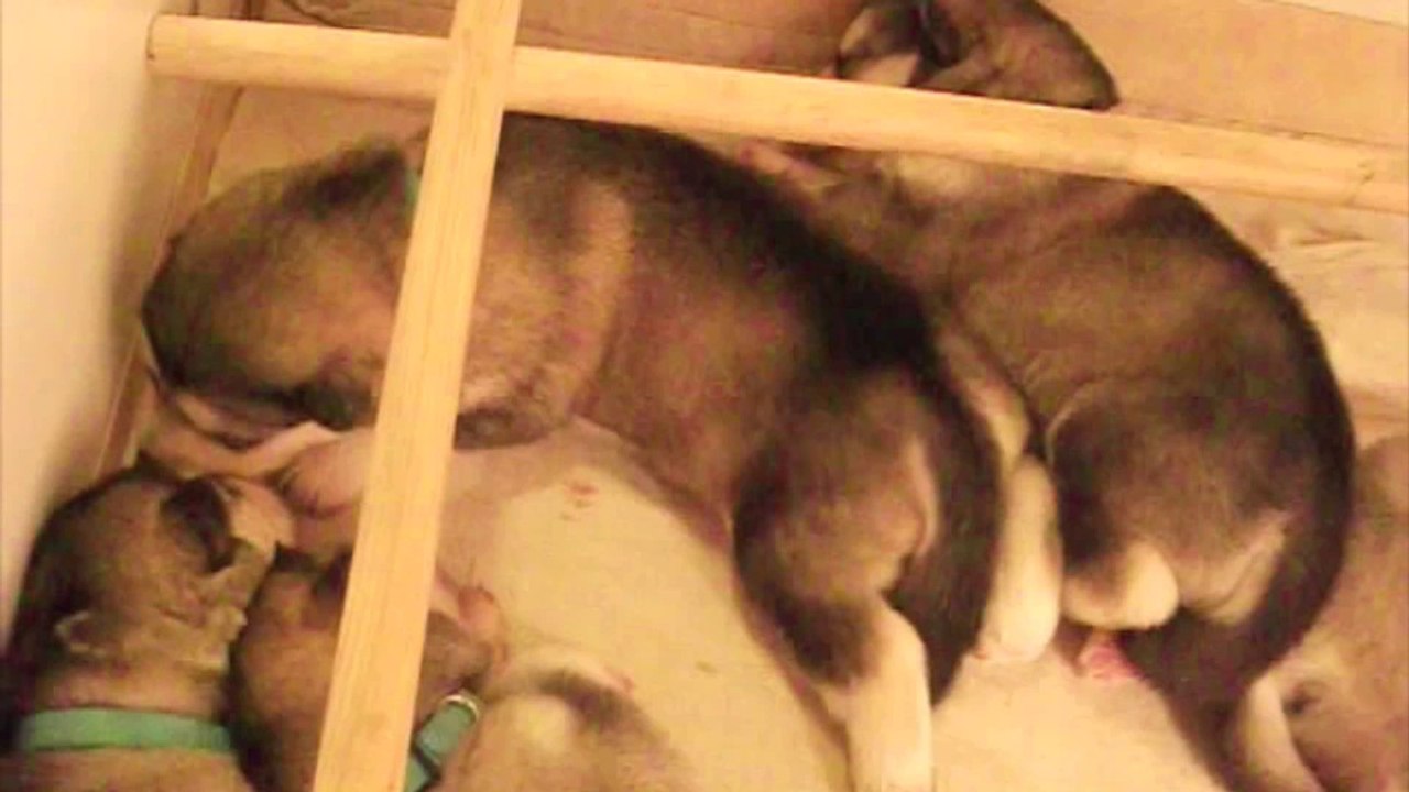 2 éme sem. des ty laouen