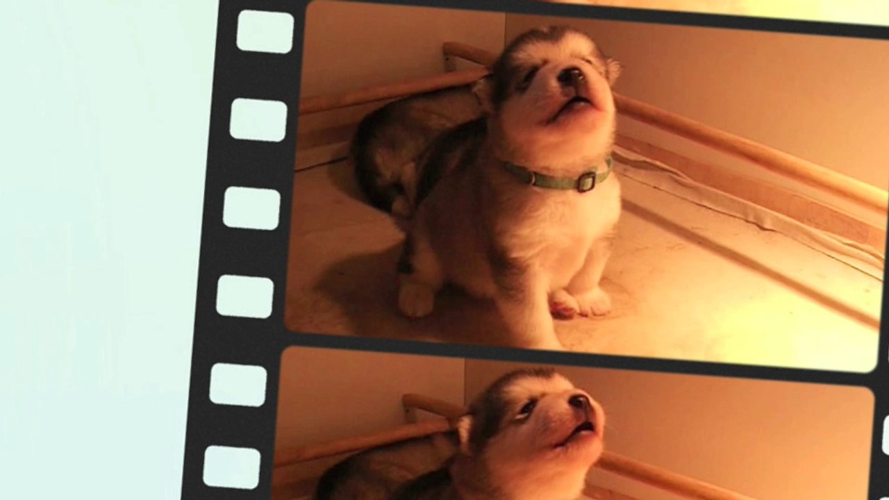 3ème sem. des ty laouen