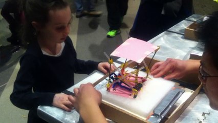 Cypriane musée des sciences