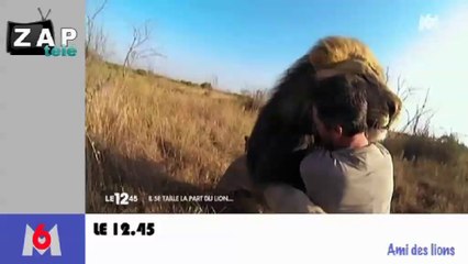 Zap télé: Un oiseau percute le cockpit d'un avion... Hollande n'aime pas les loups